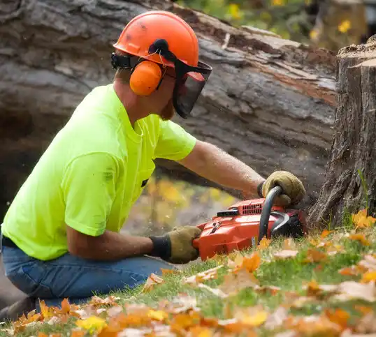 tree services Rich Hill